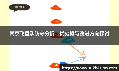 南京飞盘队防守分析：优劣势与改进方向探讨